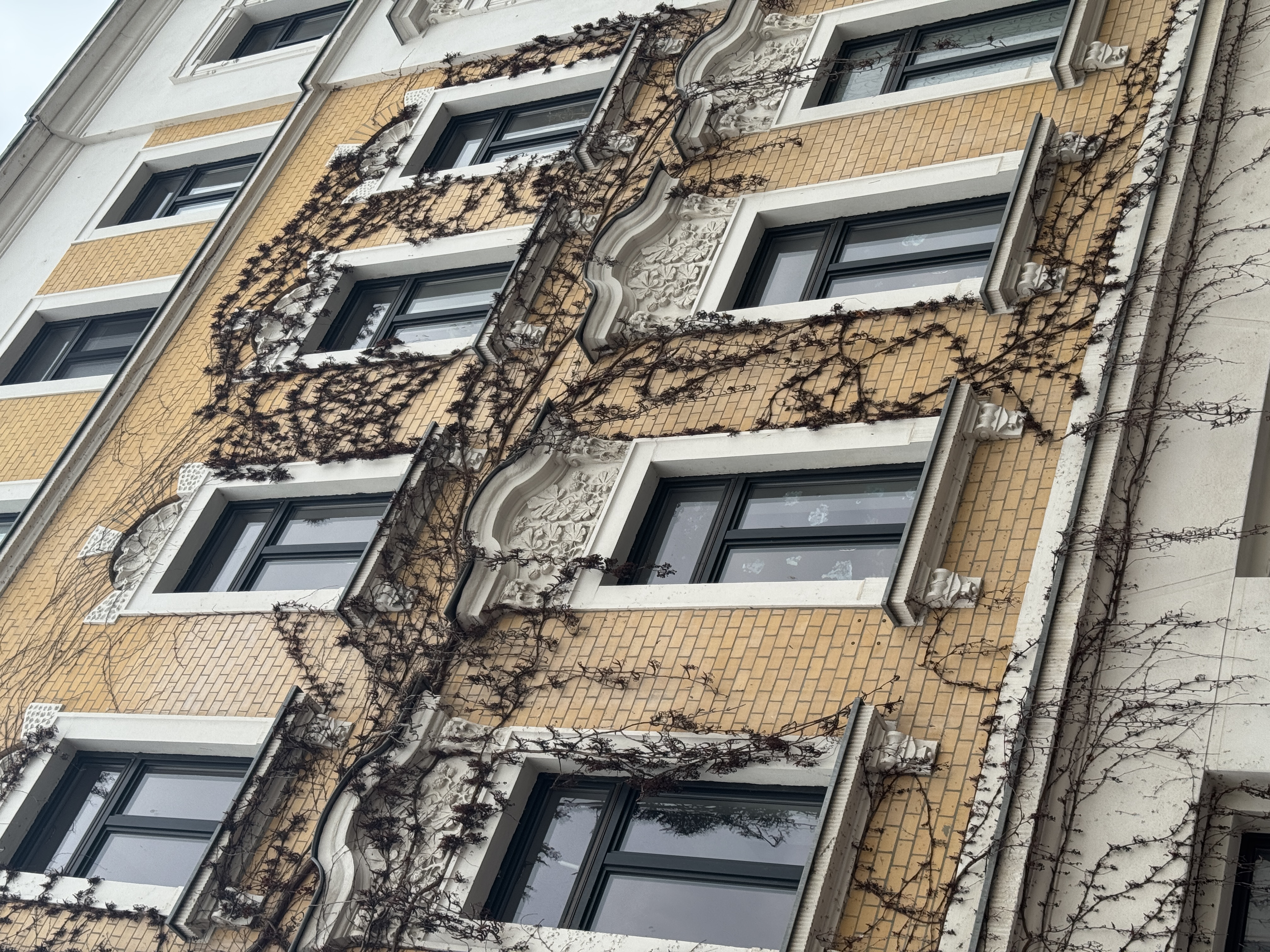 Hausfassade - Lößnigerstraße.JPG
